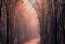 开云官网-河床替补席深度成优势，冲击世俱杯冠军