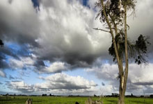 开云体育在线-西悉尼流浪者球员积极备战，誓夺更好名次