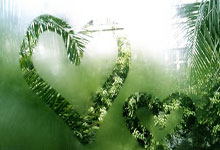 开云体育app-恩菲尔德主教练称赞球队拼搏精神，期待突破