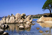 开云官网-篮网折戟休斯顿！欧文独舞难敌火箭万箭齐发