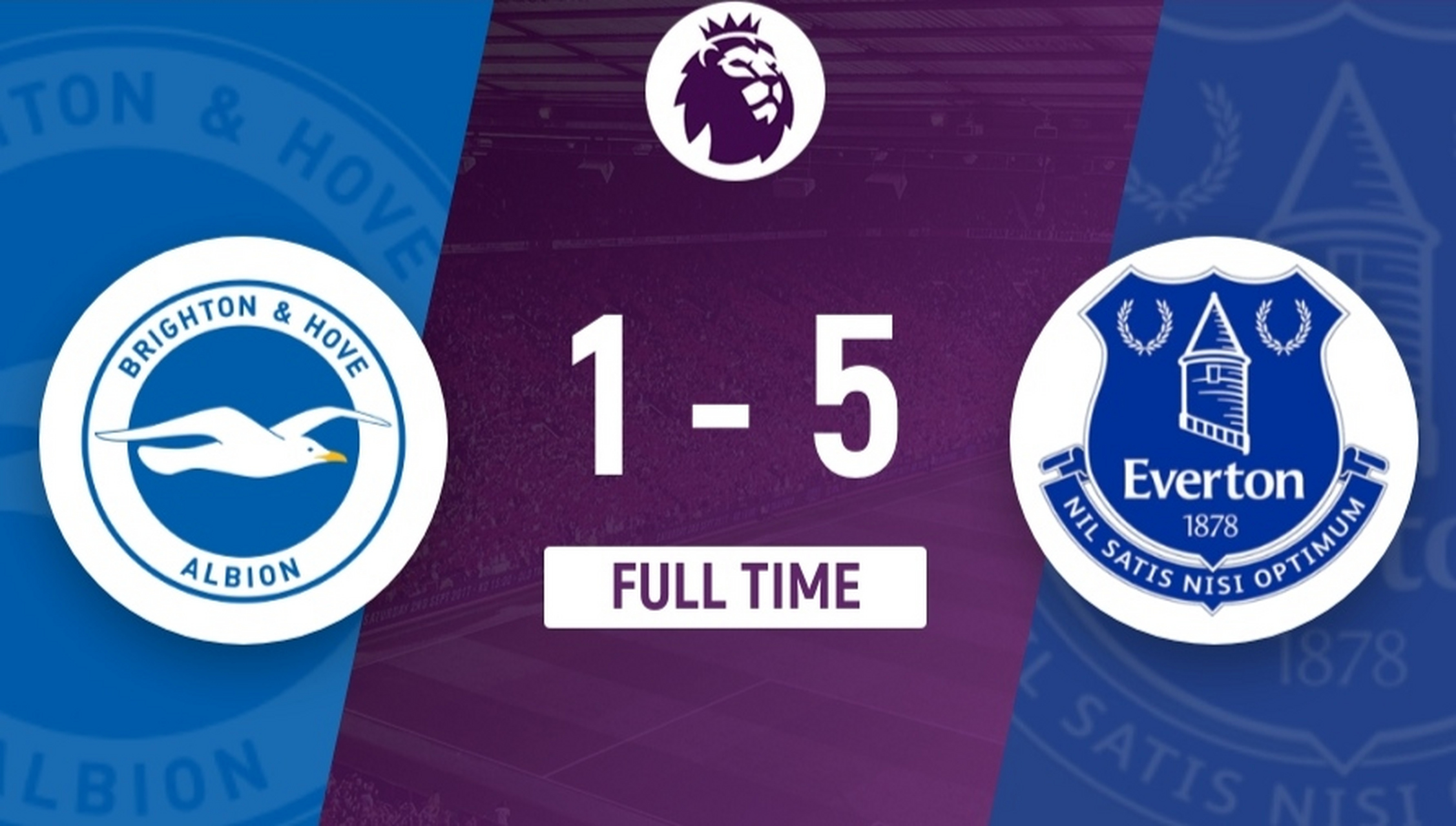 开云体育下载-关于落后却战胜，布莱顿继续保级之路的信息