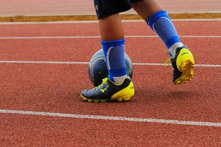 开云体育登录-蒙特雷新援首秀引期待，世俱杯表现备受关注