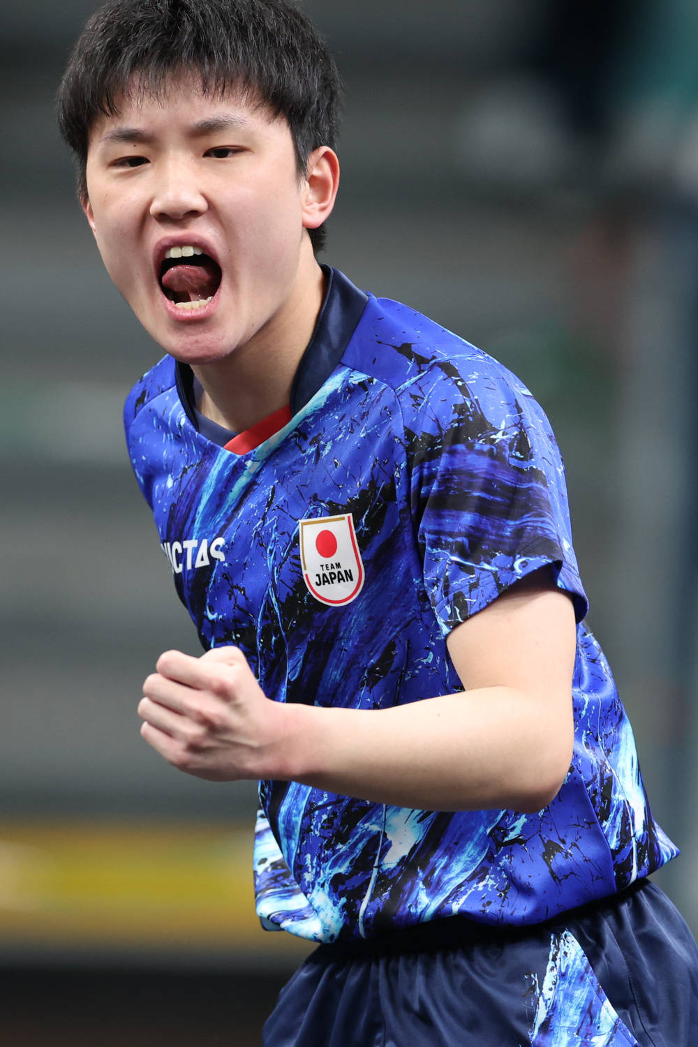 包含波兰乒乓球队翻盘日本乒乓球队，张本智和关键制胜的词条