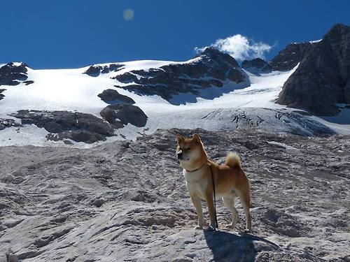 开云体育官网-阿拉巴节奏完全掌控，里昂强压德国背后的战术革命