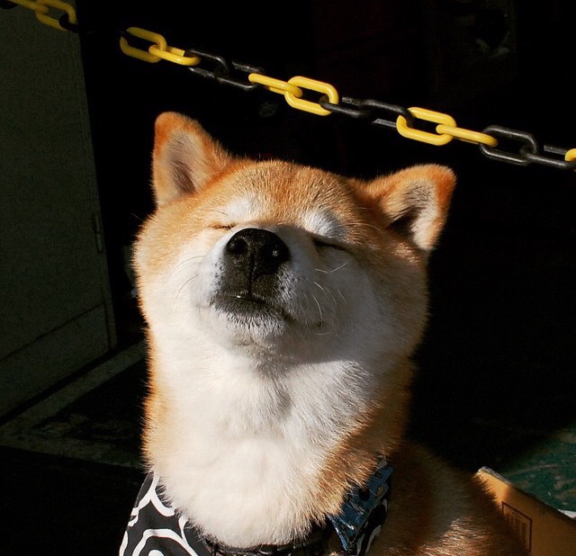 北汽伦纳德杀神附体,末节独砍18分撕碎辽篮防线