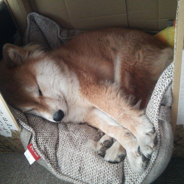 国王赖斯终结爵士帕尔默，米切尔统治英超争冠关键战