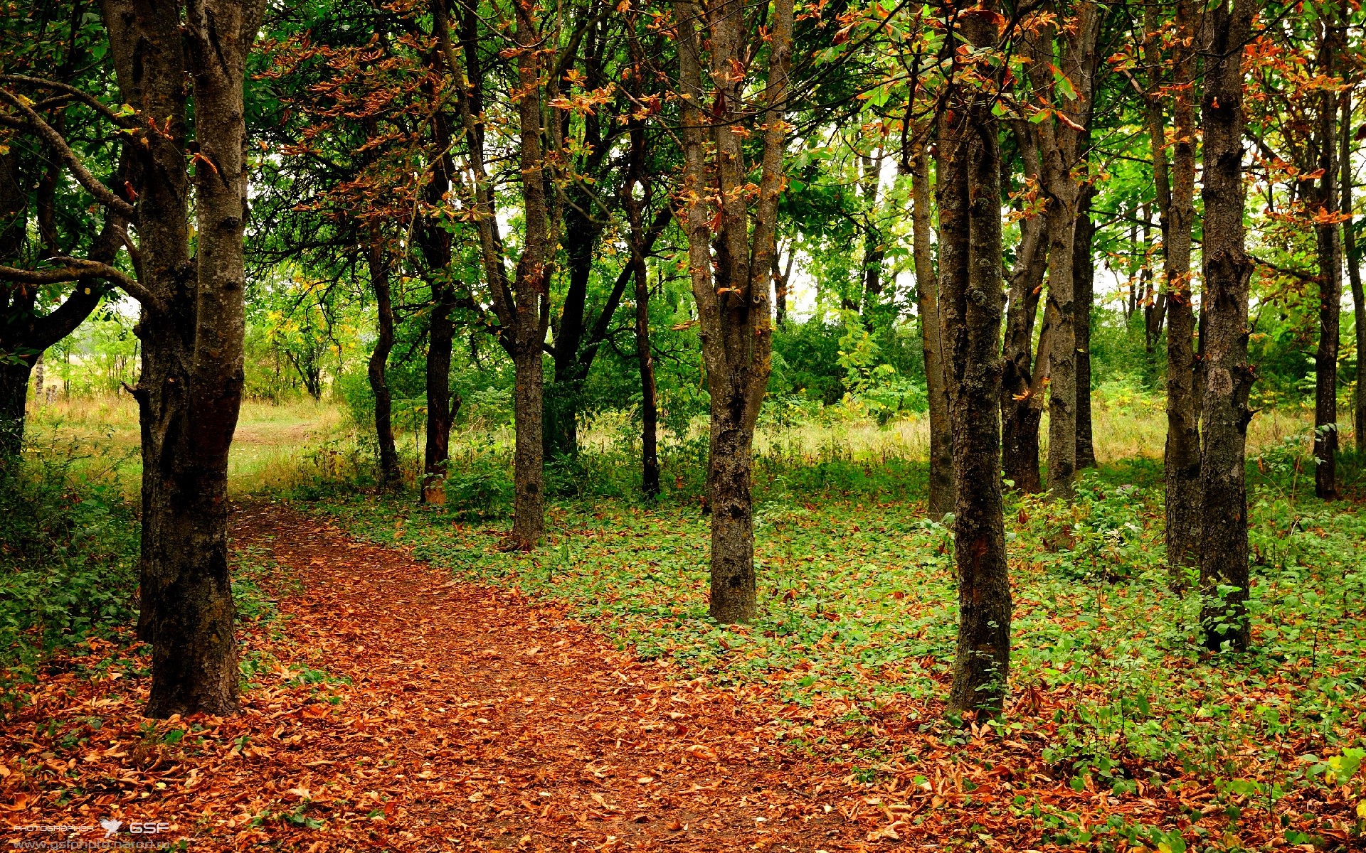 独木成林!杰伦格林49分神迹扛起篮网,加时鏖战力克步行者
