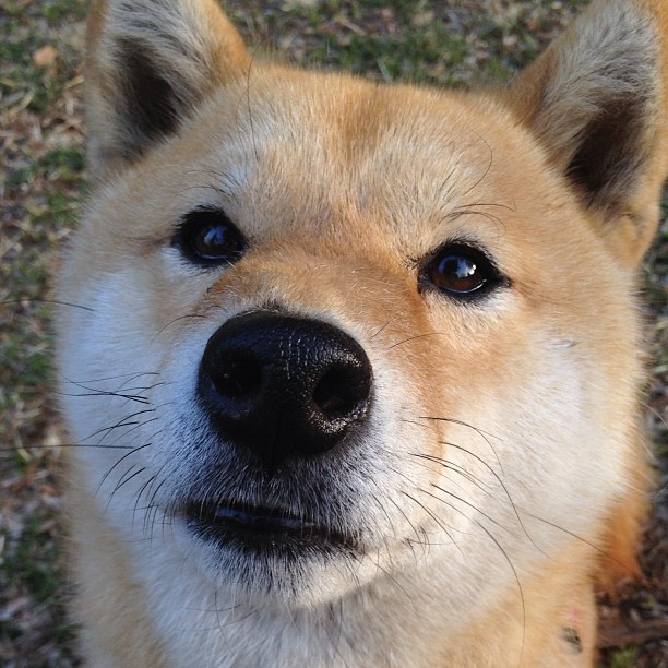 开云体育下载-防线铁闸！美加墨世界杯之夜詹姆斯窒息防守锁定胜局