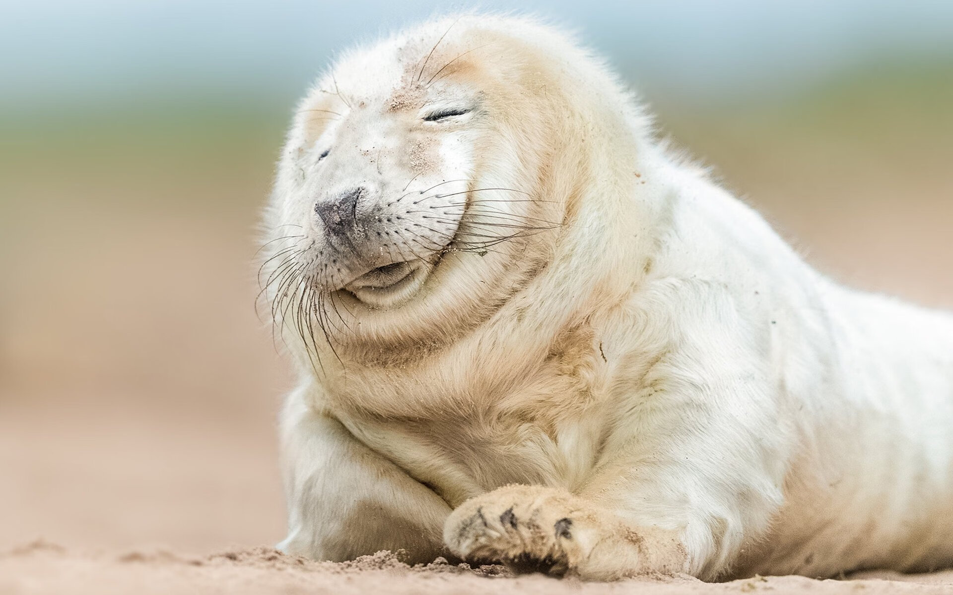 三笘薰爆发!当亚洲风暴在安菲尔德席卷,利物浦用一场过时的胜利向美国资本说不