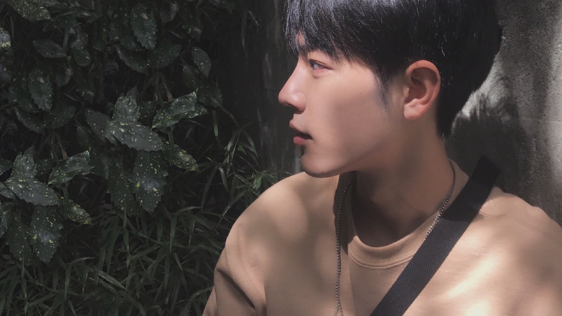 开云平台-蓝月神话倾覆之夜，挪威少年布雷默如何只手掀翻曼城