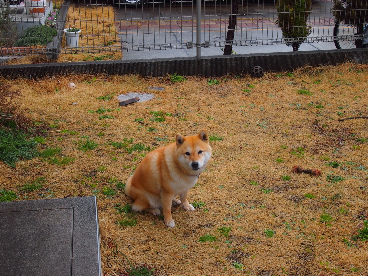 开云体育登录-冰与火之歌，哈登神迹与广厦洪流下的篮球辩证