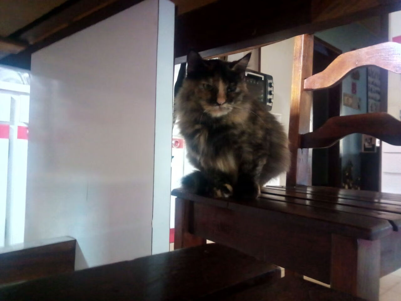 纪录与绝杀，足球魅力的永恒交响