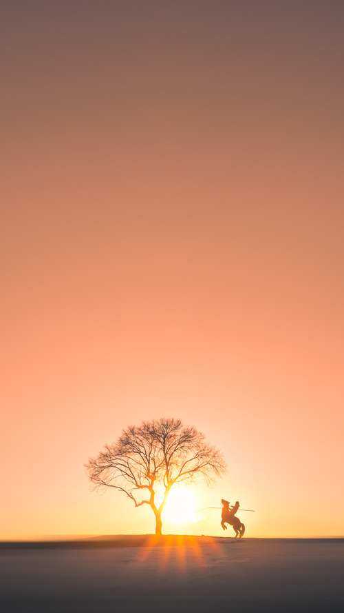 快船鏖战险胜掘金，文班亚马献上压制级巨星表演