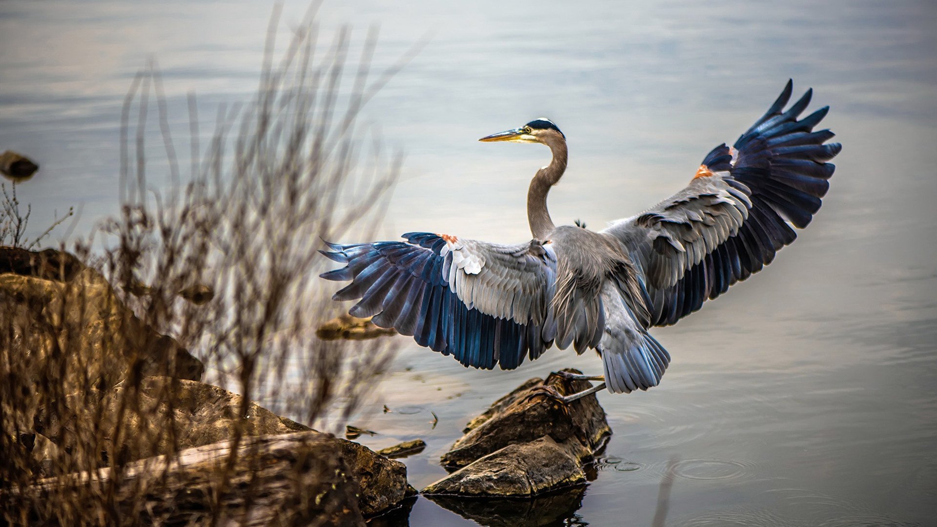 尼斯血拼西班牙，凯塞多的自我救赎之旅