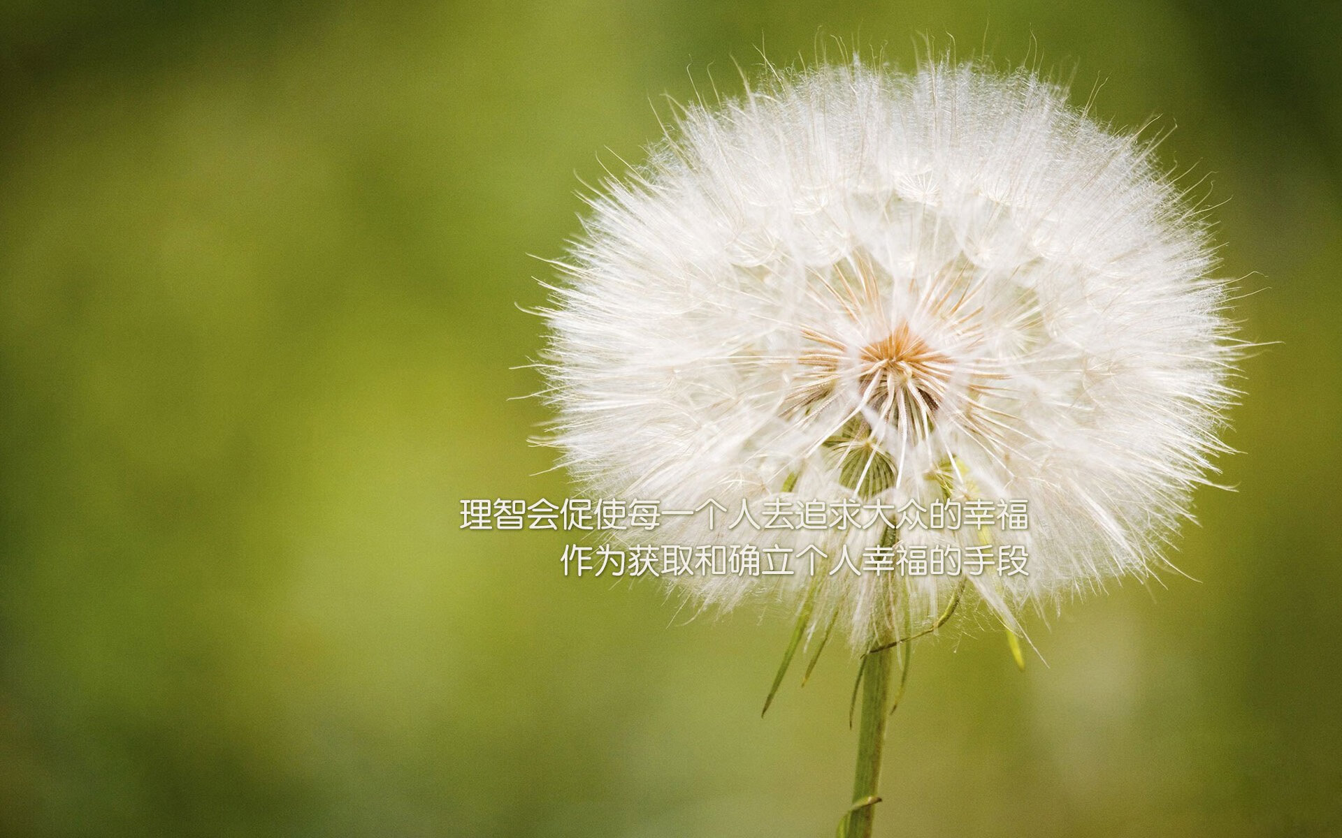 伦敦雨夜血战 克城铁骑锁喉