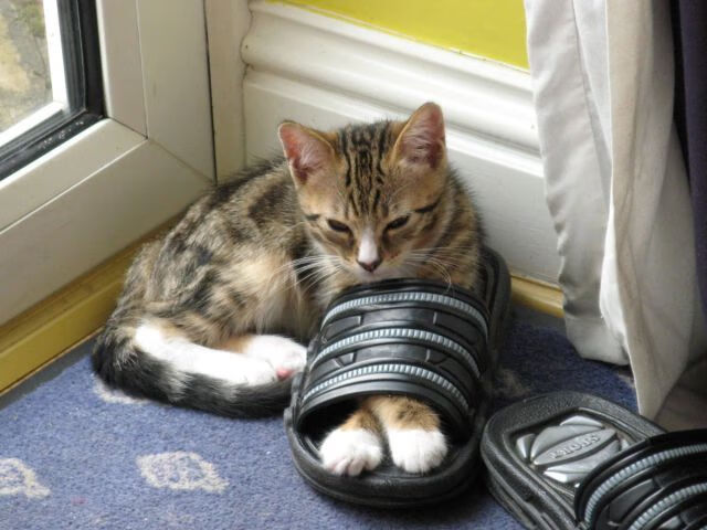 德甲争冠战之夜，梅西关键回合不手软