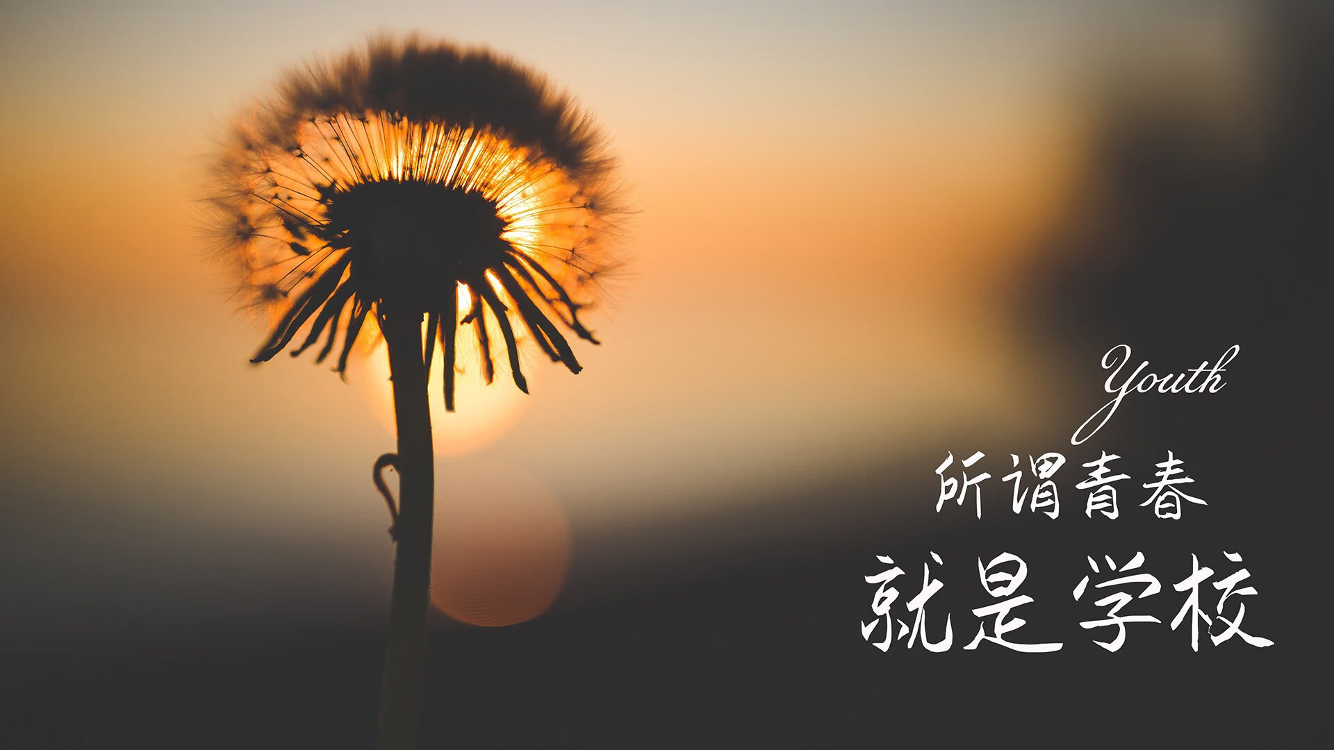 开云体育下载-铁壁库尔图瓦护佑巴西险胜越南，2026世界杯A组上演硬核对决